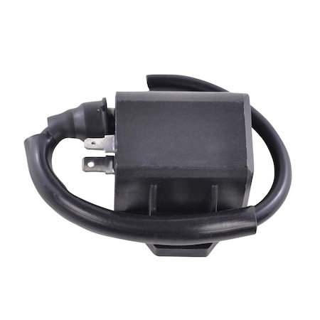 Rmstator External Ignition Coil for Suzuki Eiger 400 KingQuad LTF LTA 400 2002-2010, LT-F400F LT-A400F King RM06120